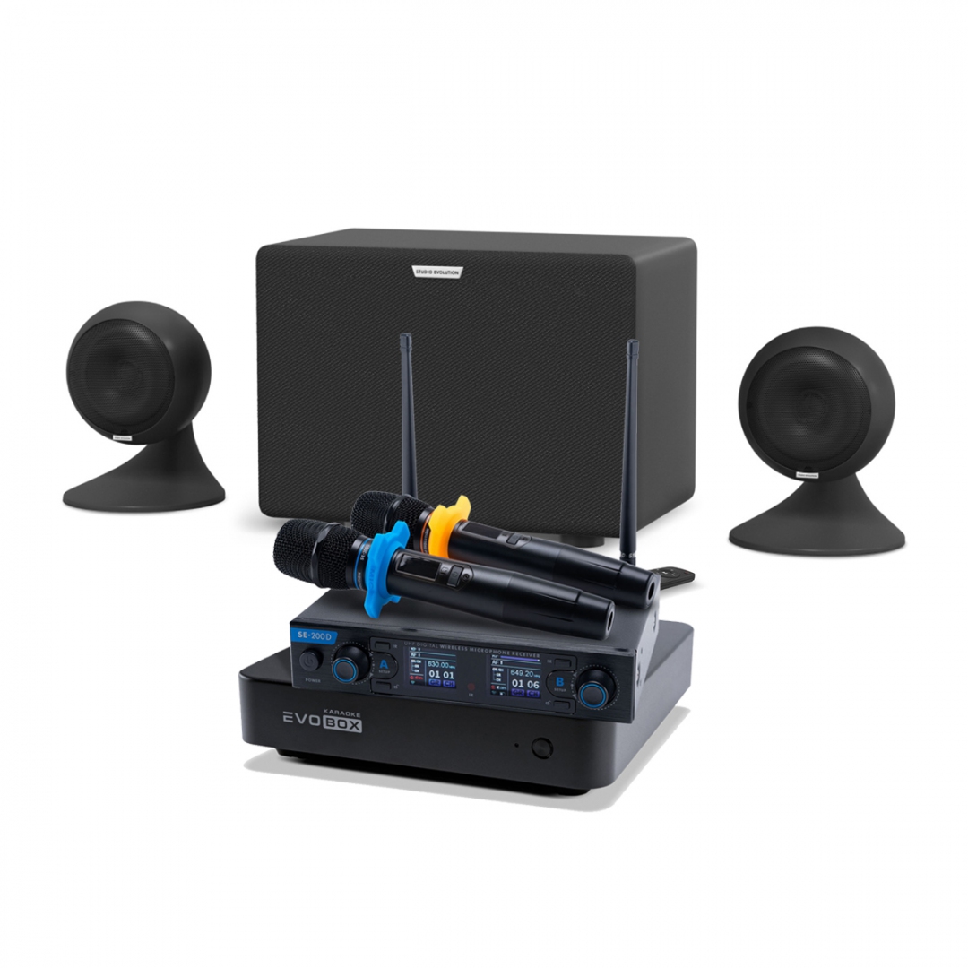 караоке-комплект EVOBOX + EvoSound Sphere 2.1 в Нижней Салде