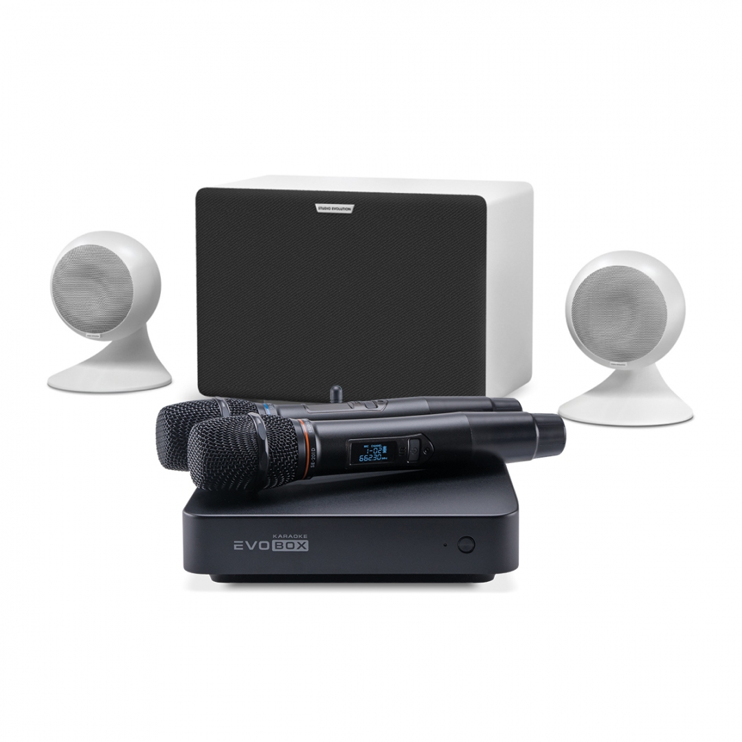 караоке-комплект EVOBOX Classic + EvoSound Sphere 2.1 в Нижней Салде