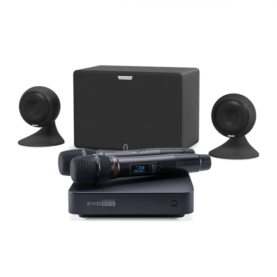 караоке-комплект EVOBOX Plus + EvoSound Sphere 2.1 в Нижней Салде