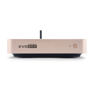 EVOBOX Classic караоке-система для дома в Нижней Салде