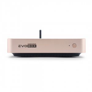 EVOBOX Plus караоке-система для дома в Нижней Салде