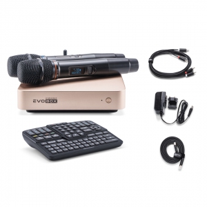 EVOBOX Plus караоке-система для дома в Нижней Салде