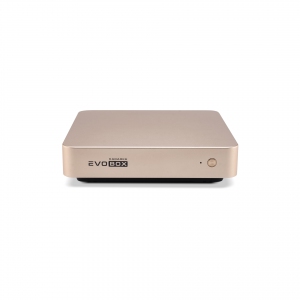 EVOBOX с микрофонами в Нижней Салде
