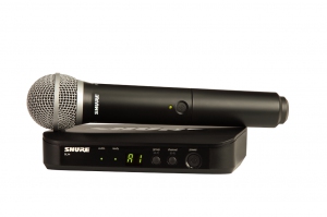 SHURE BLX24E/PG58 M17 вокальная радиосистема в Нижней Салде